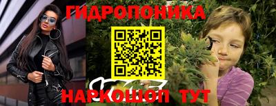 ГАЛЛЮЦИНОГЕННЫЕ ГРИБЫ Свободный