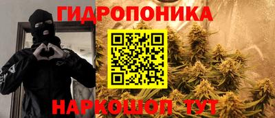ГАЛЛЮЦИНОГЕННЫЕ ГРИБЫ Свободный